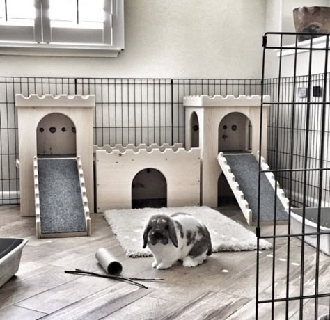 Room For Rabbit, Aesthetic Bunny Cage Indoor, Bunny Cages Aesthetic, Bunny House Ideas, Rabbit Pen Ideas, Rabbit House Diy, Diy Bunny House, Aesthetic Bunny Cage, Pet Bunny Set Up