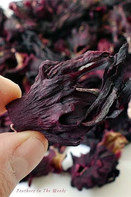 Hibiscus can be used for several health and beauty issues Hibiscus Recipe, Benefits Of Hibiscus, Speed Up Your Metabolism, Natural Botox, Flower Skin, Dried Hibiscus Flowers, Orange Clove, Health Heal, Beauty And Health