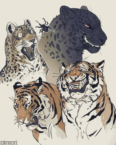 Big Cats Art, 강아지 그림, Tiger Art, Animal Sketches, Arte Animal, Arte Fantasy, 판타지 아트, 영감을 주는 캐릭터, Cat Drawing