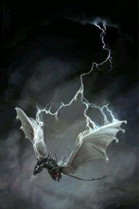 Dragon in the storm Lightning Dragon, Dragon Flying, Cool Dragons, 다크 판타지, Dragon Rider, Dragon Pictures, White Dragon, Dragon Artwork, Mythical Creatures Art