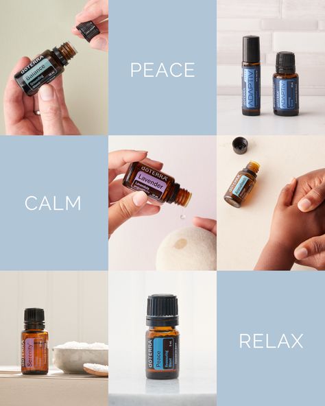 Peace Doterra, Essential Oils Doterra, Wealthy Lifestyle Luxury, Doterra Balance, Calm Environment, Doterra Lavender, Peace And Calm, Doterra Business, Calming Essential Oils