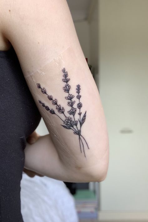 Lavender Color Tattoo, Hyssop Tattoo Simple, Violet And Lavender Tattoo, Lavender Sternum Tattoo, Black And White Lavender Tattoo, Lavender Bundle Tattoo, Lavender Bouquet Tattoo, Lavender Plant Tattoo, Lavender Tattoo Black