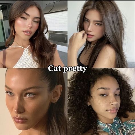 Cat Pretty Face Features, Villain Beauty, Deer Pretty, Types Of Makeup Looks, Cat Pretty, Face Features, Rockstar Gf, Types Of Makeup, Face Card