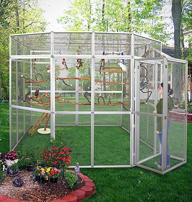 Outdoor Bird Aviary, Aviary Ideas, Pet Bird Cage, Bird House Kits, Bird Aviary, Parrot Cage, Diy Birds, Parrot Toys, How To Attract Birds