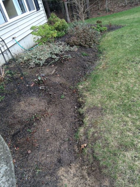 Most people struggle with perfect garden borders, but this idea is stunning—and takes just 20 minutes: Brick Garden Edging, Flower Bed Borders, Landscape Borders, Cement Garden, Brick Garden, Stone Concrete, Flowers Gardening, Landscape Edging, Water Fountains