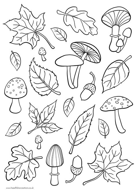 Help your preschooler learn about the changing seasons with these fun and educational coloring pages. With a variety of designs to choose from, there's sure to be a fall coloring page that your child will love.      #CuteFallPictures #FallTemplates #LeavesColoring #FallLeavesColoringPages Fall Templates, Cute Fall Pictures, Fall Leaves Coloring Pages, Fall Coloring Sheets, Autumn Pictures, Autumn 23, Colouring Pictures, Leaf Coloring Page, Preschool Fall