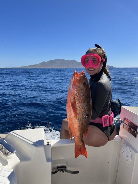 Liveaboard & Spearfishing Expedition in Mexico with Neritic Diving — ≋ Life in Shades of Blue ≋ Underwater Model, Family Fishing, Women's Diving, Ocean Travel, Fishing Photos, Mermaid Dreams, Ocean Fishing, Diving Gear, Baja California Sur