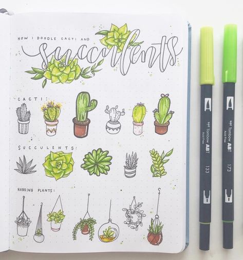 Draw Succulents, Best Bullet Journal Pens, Succulent Doodle, Cactus Doodle, Succulents Drawing, Succulent Theme, Plant Doodle, Bujo Doodles, Cactus Drawing