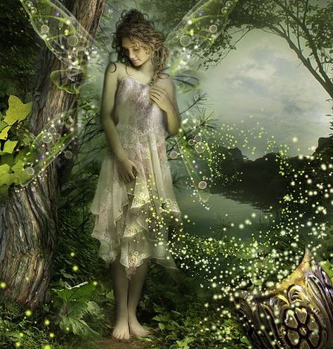 male fairies and pixies | Bunny and d Green Fairy: Air Faeries Mystical Woods, Forest Queen, Fairies Photos, Love Fairy, Fairies Elves, Fairy Book, Fairy Magic, Beautiful Fairies, Fantasy Fairy