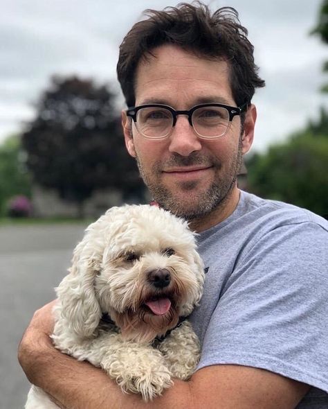 Paul Rudd is the cutest man alive Paul Rudd Ant Man, Scott Lang, Marvel Men, Paul Rudd, Marvel Actors, Marvel Cast, Man Thing Marvel, Wearing Glasses, Hot Actors