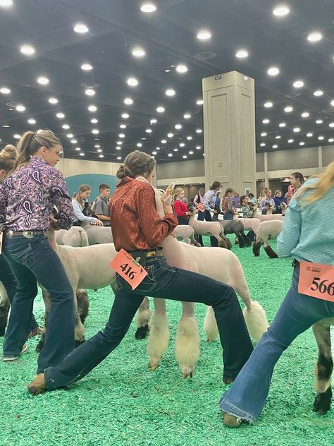 Livestock Showing Hairstyles, Lamb Show Outfits, Showing Outfits Livestock, Livestock Hairstyles, Show Ring Outfits Livestock, Sheep Showing Outfits, Ffa Show Outfit, Show Day Hairstyles Livestock, 4h Outfits