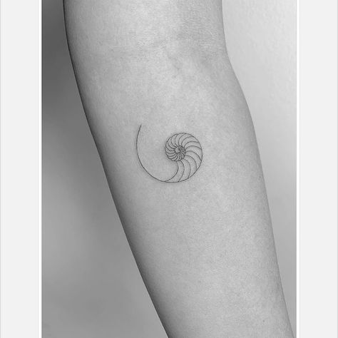 NAUTILUS  #singleneedle #nautilus #shell #ocean #spiral #tattooedgirls #love #sea Fibonacci Spiral Tattoo, Nautilus Tattoo, Camera Tattoo Design, Fibonacci Tattoo, Astronomy Tattoo, Spiral Tattoos, Dna Tattoo, Shell Tattoos, Sea Tattoo