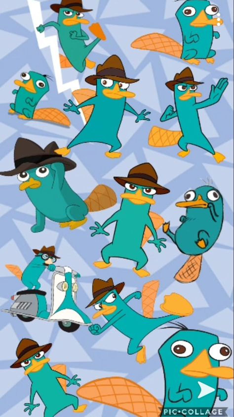 Perry The Platypus Wallpapers, Platypus Wallpaper, Sweet Dreams Pictures, Background Collage, Perry The Platypus, Phineas Y Ferb, Disney Wallpapers, Kids Themed Birthday Parties, Collage Wallpaper