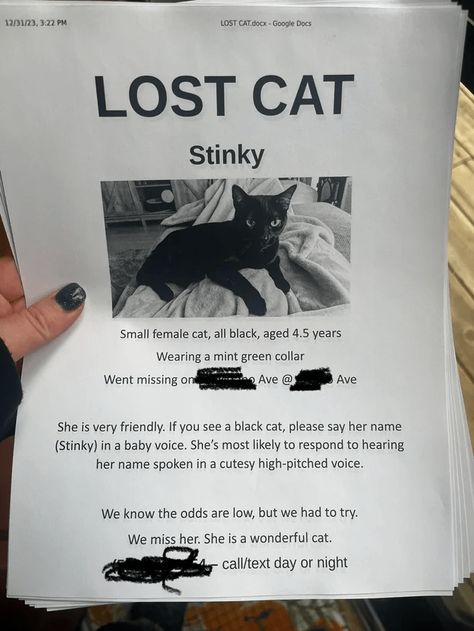 Overjoyed Cat Owner Shares Wholesome Journey of Missing Black Cat Who Miraculously Defied All the Odds and Came Home Missing Cat Poster, Cat Poster, Worst Day, Cat Owner, Cat Posters, Back Off, Cat Owners, My Cat, Cat Memes