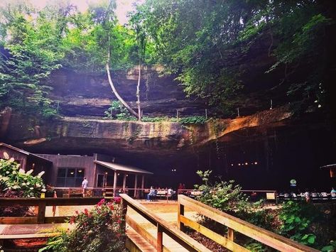 You'll need cowboy boots to trek to this old-fashioned saloon that’s nestled in a giant natural cave. Tuscumbia Alabama, Seven Springs, Natural Cave, Unique Restaurants, Sweet Home Alabama, Natural Rock, Archaeological Site, Adventure Awaits, Travel Ideas