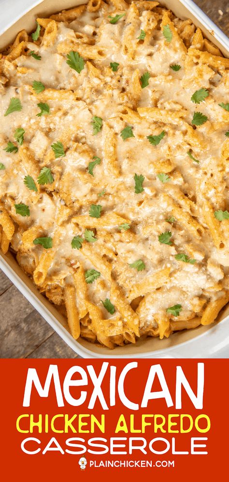 Mexican Chicken Alfredo Casserole - for when you can't decide between Mexican and Italian for dinner! This is super easy to make and tastes AMAZING! Chicken, pasta, Alfredo sauce, taco seasoning, salsa, onion, ricotta cheese, and parmesan cheese. Can make in advance and refrigerate or freeze for later. #casserole #chicken #pastacasserole #chickenalfredo #mexicanfood Mexican Chicken Alfredo, Pasta Alfredo Sauce, Casserole Mexican, Alfredo Casserole, Sausage Pasta Bake, Chicken Alfredo Casserole, Mexican Chicken Casserole, Pasta Recipes Alfredo, Pasta Alfredo