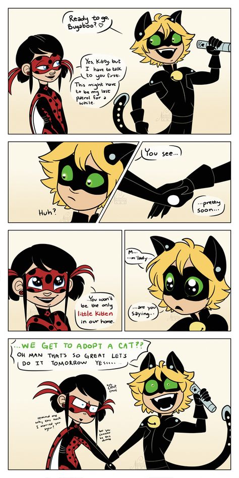 dumb little kitten by NattiKay Jing Y Jang, Meme Chat, Comics Ladybug, Ladybug And Cat Noir, Ladybug Wallpaper, Miraculous Ladybug Memes, Ladybug Anime, Miraculous Ladybug Fanfiction, Miraculous Ladybug Movie