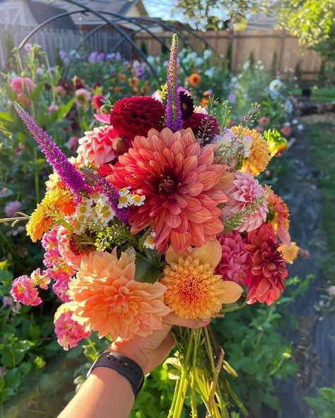 Dahlia And Peony Bouquet, Field Flowers Bouquet, Field Flowers, Boquette Flowers, Peonies Bouquet, Flower Bouquet Wedding, Flower Field, Dahlia, Flowers Bouquet