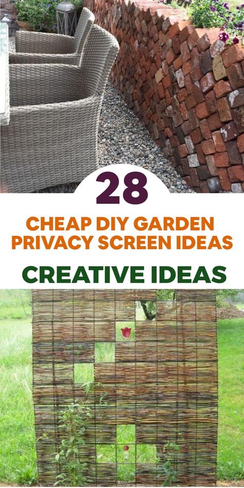 Achieve privacy in your garden without overspending with these affordable do-it-yourself garden privacy screen concepts. Upcycle old doors or shutters by fixing them onto a structure and placing them strategically to form a chic yet practical barrier. Alternatively, utilize outdoor fabric or drapes for a fantastical and wallet-friendly privacy shield. Dangle them from a pergola or affix to a wooden frame for a snug and intimate outdoor oasis. Fly Repellant Diy, Privacy Screen Ideas, Chicken Coop Designs Diy, Diy Privacy Screen, Garden Sanctuary, Garden Privacy Screen, Garden Privacy, Above Ground Pool Landscaping, Privacy Fences