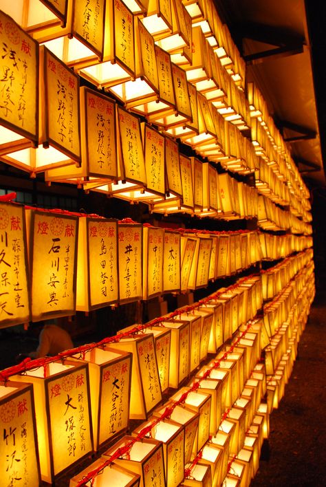 Lanterns Yasukuni Shrine, Fuji Japan, All About Japan, Japanese Lanterns, Fashion Moodboard, July 14th, Red Lantern, To Infinity And Beyond, Mellow Yellow