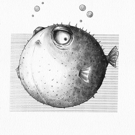 Cute igital drawing. for more check out my instagram and etsy account Cute Puffer Fish Drawing, Cuddlefish Drawing, Pufferfish Drawing, Puffer Fish Tattoo, Puffer Fish Drawing, Fish Sketch, Boho Brand, Puffer Fish, Moon Drawing