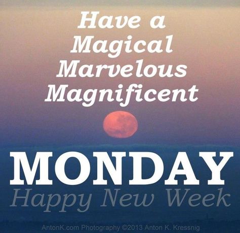 Have A Nice Monday, Monday Morning Blessing, New Month Wishes, Monday Inspirational Quotes, Monday Morning Quotes, Merry Monday, Saying Hi, Good Morning Happy Monday, Monday Blessings