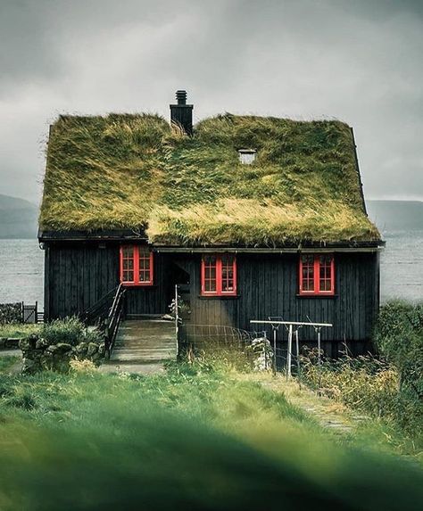 Sod Roof, Grass Roof, Car Life, Scandinavian Architecture, Cottage Cabin, Cabin In The Woods, Cabins And Cottages, Cabin Life, Green Roof