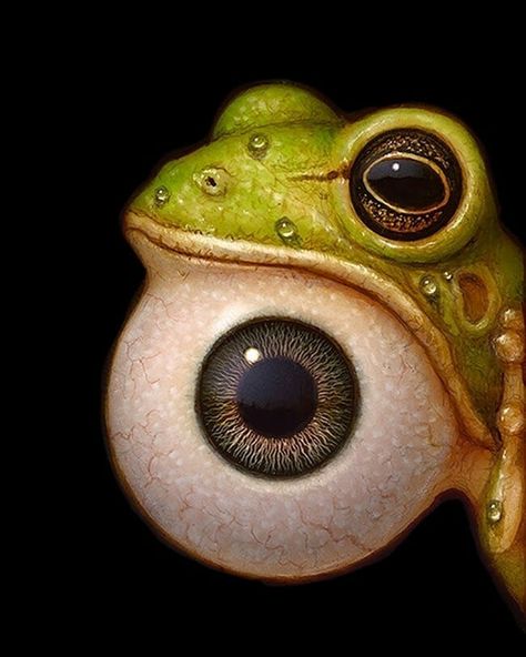 Naoto Hattori, On Board, Water, Green, On Instagram, Instagram, Art