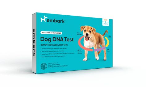 Embark Dog DNA Test: Most Accurate & Highest Reviewed Dog DNA Test Health Kit, Detection Dogs, Dog Dna Test, Redbone Coonhound, Health Screening, Purebred Dogs, Dna Test, Dog Health, Service Dogs