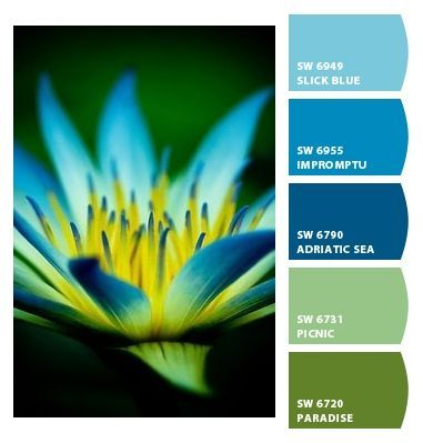 Flower Shades of Blue and Green Emerald Green Blue Color Palette, Colors Complementary To Green, I Just Spotted The Perfect Colors, Blue Green Color Combinations, Blues And Greens Palette, Green And Blue Color Schemes, Green And Blue Bedroom Ideas, Blue And Green Combination, Green And Blue Color Palette