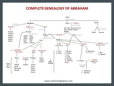 Bible Teachings - Chart of the Genealogy Of Abraham: Abraham's Family Tree - ConformingToJesus.com Bible Family Tree, David Bible, Exodus Bible, Bible Genealogy, Bible Study Fellowship, Family Tree Worksheet, Sons Of Jacob, Gospel Bible, Genealogy Chart