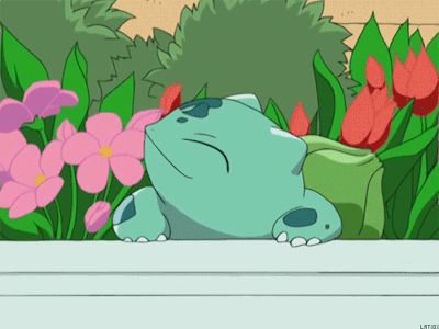 You, enjoying your newly decorated home: 22 Products That’ll Bring A Little Nature Into Your Home Green Pokemon, Pokemon Gif, Cute Pokemon Pictures, Pokemon Teams, My Pokemon, Catch Em All, Pokemon Pictures, Cute Pokemon, Pokemon Art