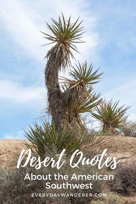 100+ Desert Quotes for Instagram including beautiful desert quotes, inspirational desert quotes, desert sunset quotes, quotes about water in the desert, and desert quotes that make you think. There are desert quotes about the American Southwest, and you'll also find a selection of funny desert quotes, desert jokes, and desert puns. Quotes About Desert Beauty, Desert Beauty Quotes, Desert Love Quotes, Quotes About The Desert, Desert Quotes Instagram, Quotes About Water, Desert Quotes, Arizona Quotes, Desert Quote