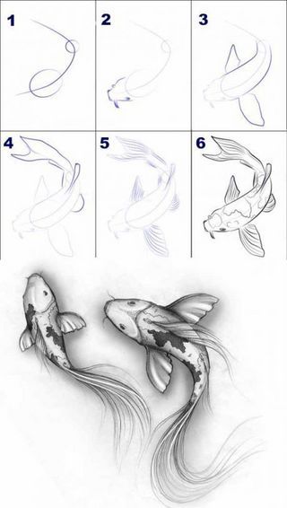 DESSINER | L'Atelier de Jojo | Bloglovin’ Draw Koi Fish, Lukisan Haiwan, Easy Pencil Drawings, Art Du Croquis, Ikan Koi, Men Tattoos, Couple Drawing, Pencil Drawings Easy, Fish Drawings