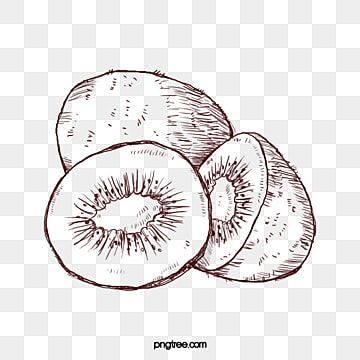 Cute Kiwi Drawing, Kiwi Drawing Simple, Kiwi Sketch, Kiwi Fruit Drawing, Kiwi Illustration, Kiwi Illustration Fruit, Seasonal Fruits, Kiwi Fruit, Drawing Cartoon