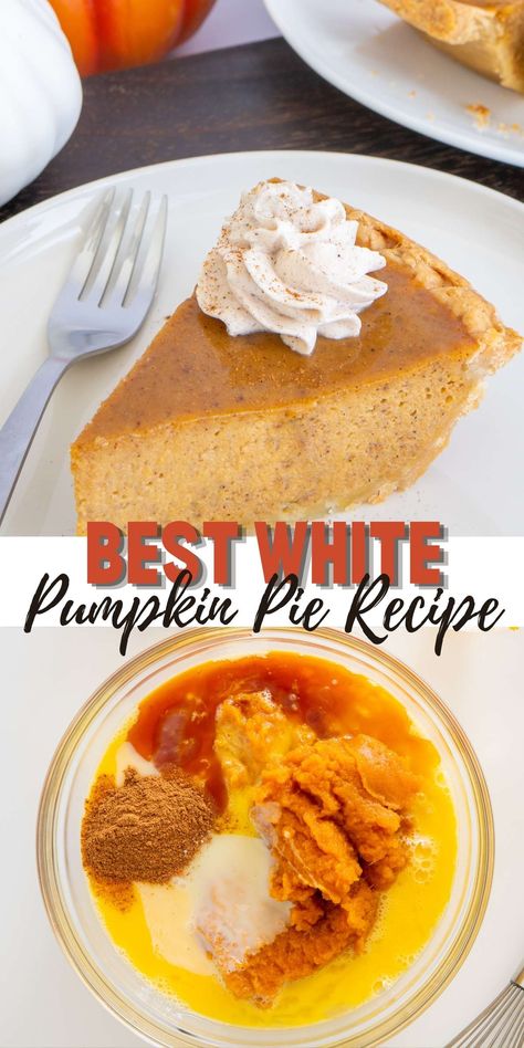 White Pumpkin Pie Recipe, White Pumpkin Recipes Fresh, White Pumpkin Pie, White Pumpkin Recipes, Puree Pumpkin, Fresh Pumpkin Pie, White Pie, Easy Pumpkin Pie, Pumpkin Pie Recipe