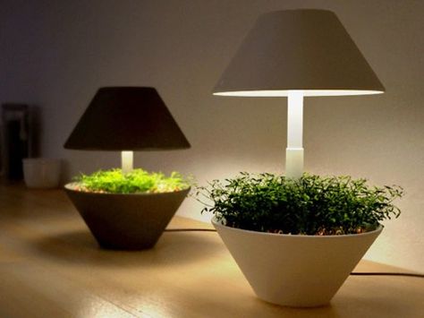 The two-in-one lamp or light for indoor herb garden growing! To many reasons why this is so great. :) Lamp Planters, Mini Serre, Diy Luminaire, Small Herb Gardens, نباتات منزلية, Indoor Herb Garden, Lampe Decoration, Indoor Gardens, Herbs Indoors