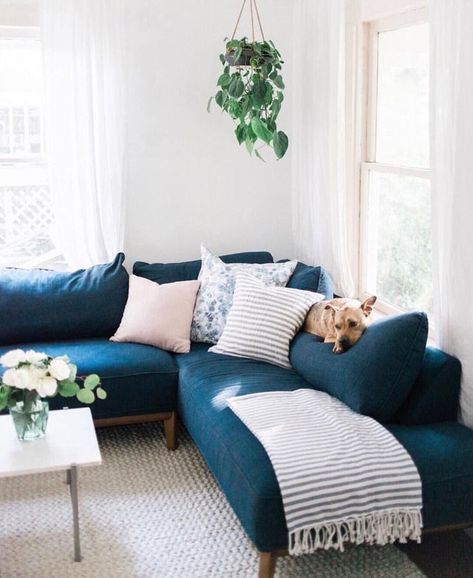 ♕ insta and pinterest @amymckeown5 Turquoise Couch, Room Decor On A Budget, Teal Couch, Turquoise Living Room Decor, Blue Couch, Living Room Decor On A Budget, Teal Sofa, Sala Grande, Small Living Room Design