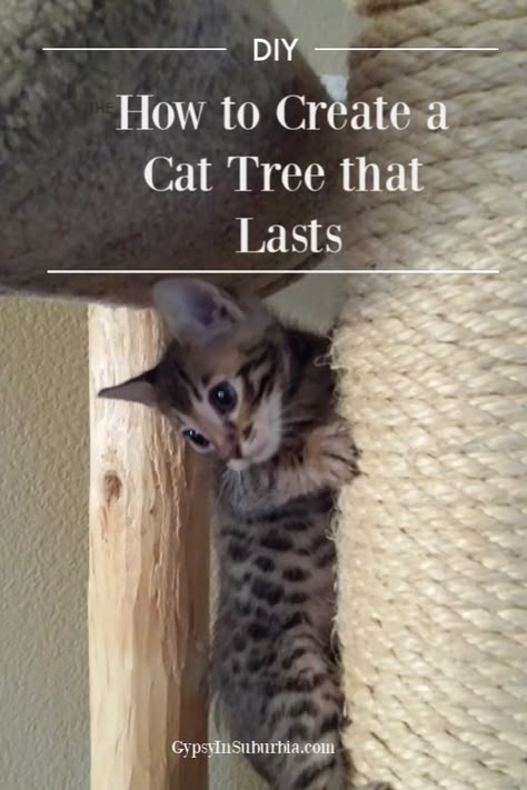 Build your own cat tree. Step by step process with photos of how we created a DIY cat tree #cattree #DIYcattree #catfurniture  #cats How To Make A Cat Tower, Cats Climbing Trees, How To Build A Cat Tree Diy, Make Your Own Cat Tree, Diy Cat Climbing Tree, Recarpeting Cat Tree, How To Build A Cat Tower, Cat Condo Diy How To Build, Home Made Cat Tower