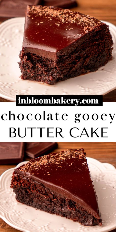 This is the best chocolate gooey butter cake recipe! It's a dark chocolate cake with a gooey chocolate cream cheese topping and chocolate ganache. Each gooey bite is full of chocolate flavor and totally melts in your mouth! Chocolate Gooey Butter Cake, Turtle Fudge, Chocolate Butter Cake, Gooey Chocolate Cake, In Bloom Bakery, Bloom Bakery, Gooey Cake, 2023 Recipes, Gooey Butter