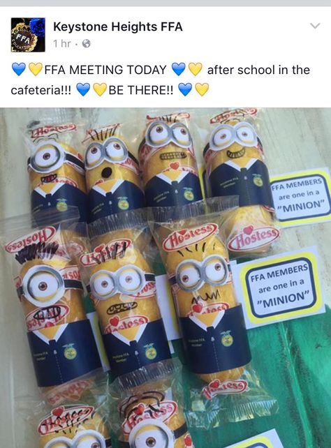 Keystone Heights FFA - You're one in a "minion"!                                                                                                                                                                                  More 4h Food Challenge Team Names, Ffa Fair Decorations Stalls, Sae Ideas Ffa, Ffa Chapter Meeting Activities, Fun Ffa Activities, Ffa Convention Packing List, Ffa Chapter Meeting Ideas, Ffa Officer Retreat Ideas, Ffa Activities High Schools