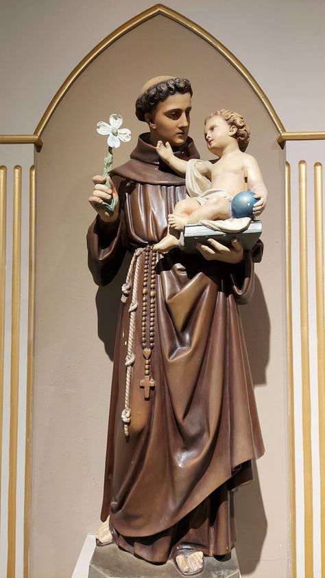 St Anthony Of Padua Wallpaper, St Antony Images, St Antony Images Hd, Saint Antonio, Saint Antony, St Joseph Statue, St Anthony Of Padua, Happy Feast, Saint Statues