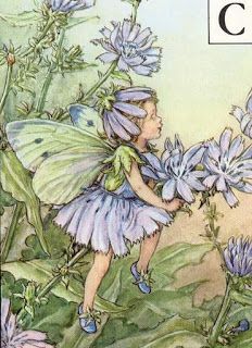 SENSORY LEVEL: Cicely M.Barker - part II Mary Barker Fairies, Cecily Mary Barker, Flower Fairies Books, 동화 삽화, Fairy Illustration, Wee Folk, Cicely Mary Barker, Vintage Fairies, Fairy Book