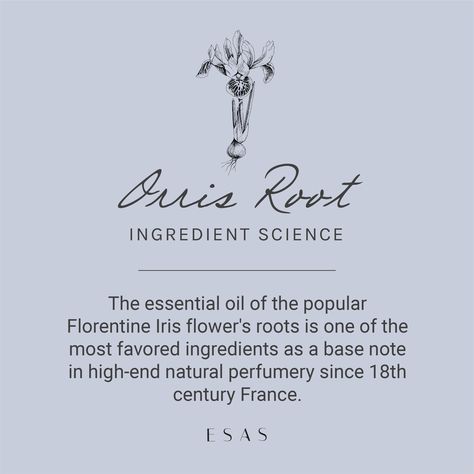 Irises aren't just pretty to look at: their rootstalks are used to produce an oil that is one of the most highly prized ingredients in fragrance for 300 years. And while the aroma may be intoxicating, #OrrisRoot has a natural ability to detoxify the skin, too. Try Orris Root and all its prized benefits in our NYC Resort Collection Kolonya! #Esasbeauty #naturalbeauty #organicskincare #naturalliving #organicingredients #organichome #nontoxichome #ingredientscience Saturn Correspondences, Orris Root, Iris Flowers, Resort Collection, Mind Body Spirit, Irises, My Spirit, Oscar Wilde, Natural Living