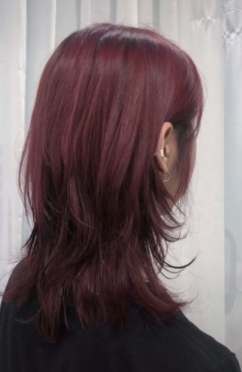 Red Hair In Black Hair, Red Hair Pallete, Red Hair Color No Bleach, Red Hair Dark Highlights, Hair Styles Wolf Cut, Dark Red Layered Hair, Red Hair Without Bleaching, Cherry Hair Aesthetic, Red Hair With White Streak