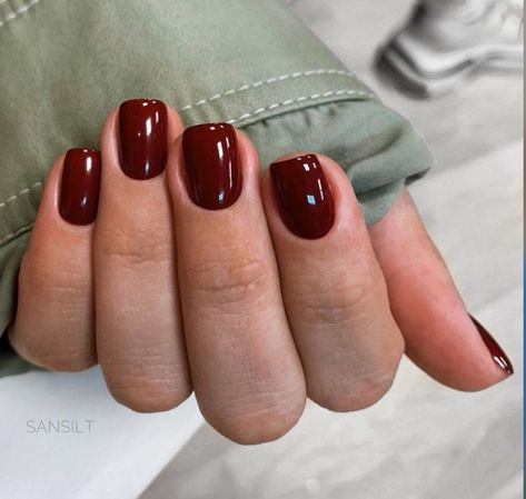 Dark Red Short Natural Nails, Crimson Nails Short, Deep Red Nails Matte, Short Square Maroon Nails, Short Cranberry Nails, Short Square Dark Red Nails, Burgundy Nails Short Square, Bordo Nails Design, Maroon Square Nails