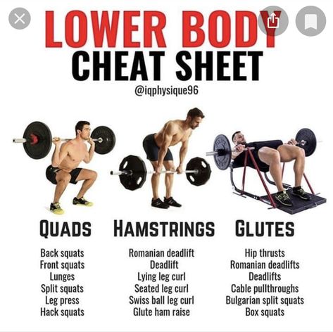 Quads And Hamstrings Workout Gym, Best Hamstring Exercises, Glutes Exercises, Teen Workout Plan, Glute Workout Gym, Leg Workouts Gym, Workout Gym Routine, Quads And Hamstrings, Leg Workout Routine