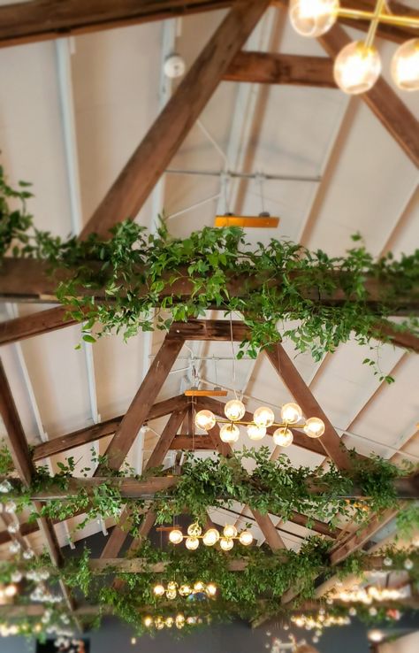 Smilax on beams Beam Decoration Ideas Wedding, How To Decorate Beams For A Wedding, Greenery In Rafters Wedding, Greenery On Beams Wedding, Garland On Beams, Rafter Decorations Wedding, Wedding Beam Decoration, Garage Wedding Reception Decor, Smilax Wedding