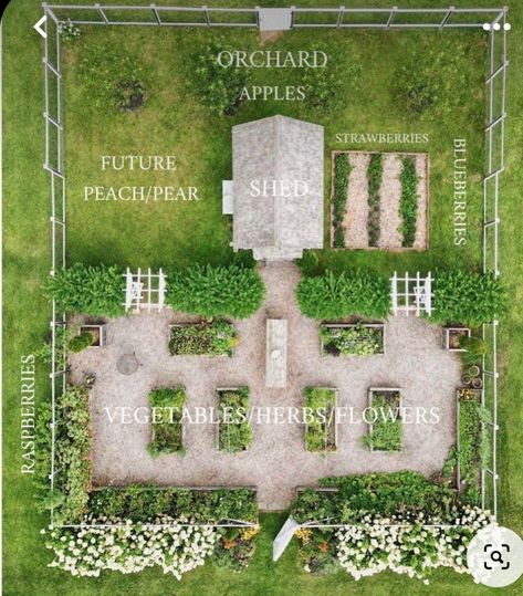 Farm Backyard Landscapes, Homestead Layout, Backyard Garden Layout, Garden Goals, Vegetable Garden Planning, Dream Farm, Future Garden, Veg Garden, Garden Inspo