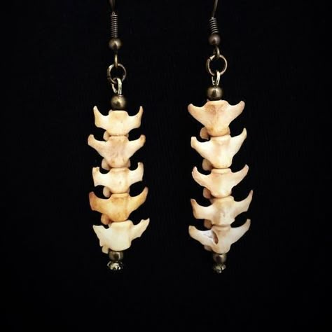 Cord Earrings, Evil Queens, Weird Jewelry, Ginnifer Goodwin, Dexter Morgan, Estilo Hippy, Claire Holt, Bone Jewelry, Spinal Cord